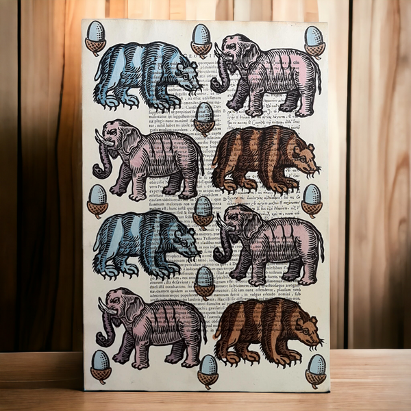 Animals: Elephants & Bears