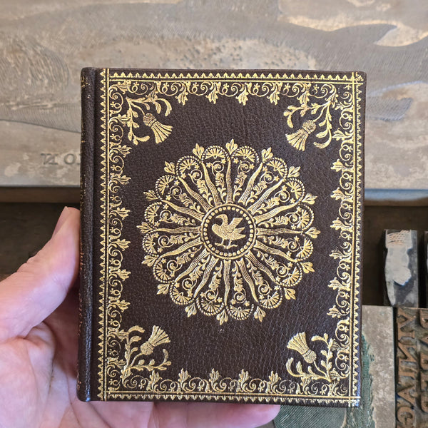 preview: Scottish Wheel