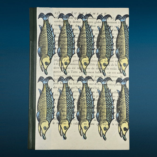 preview: PSB Fish