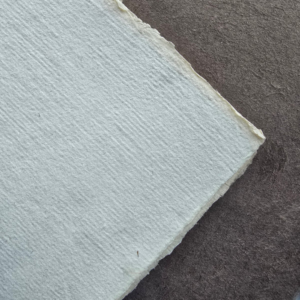 Van Gelder Zonen "Picasso"