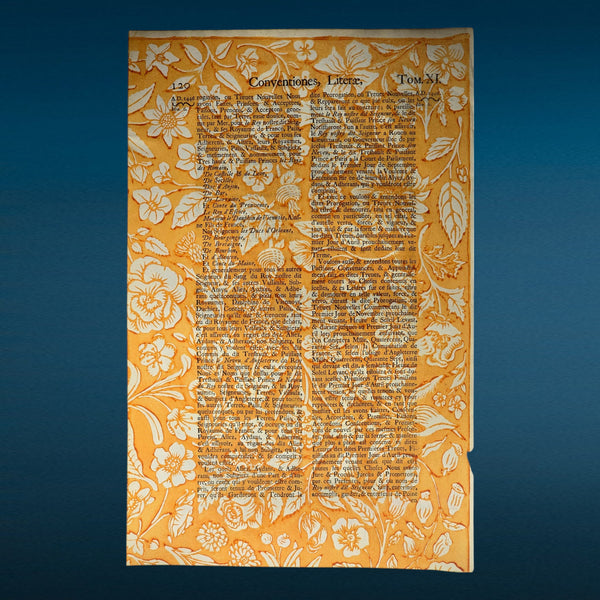Summer Print Collection