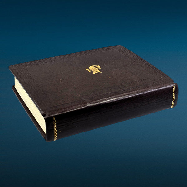 PREVIEW - Mythological Bird