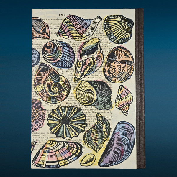 preview: PSB Shells