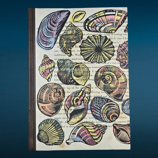 preview: PSB Shells