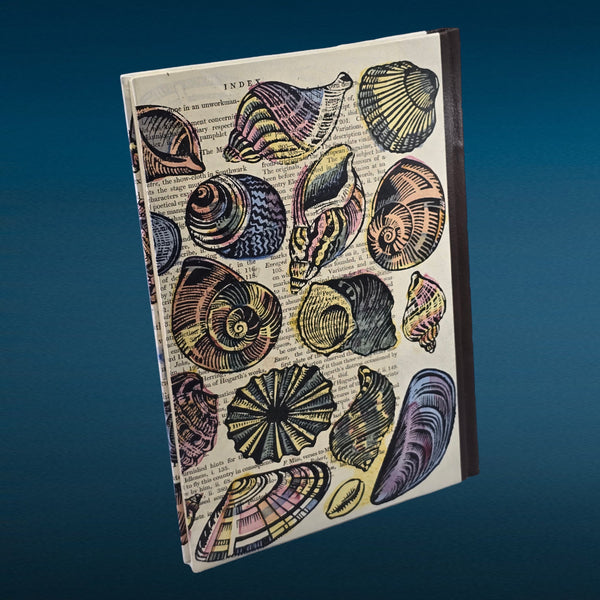preview: PSB Shells