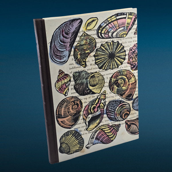 preview: PSB Shells