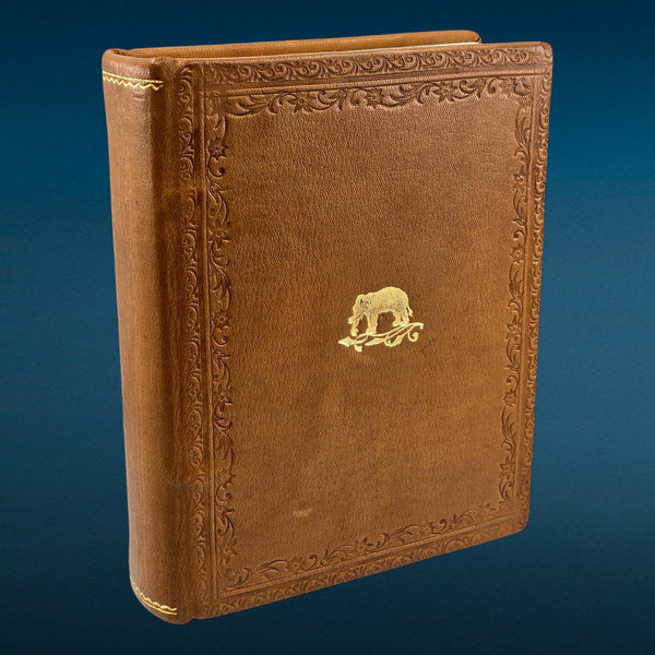 PREVIEW - Elephant & Bull