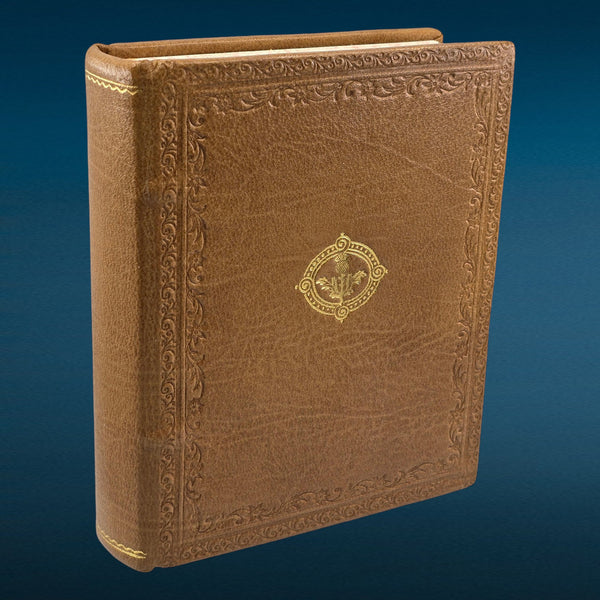 PREVIEW - Thistle & Hive