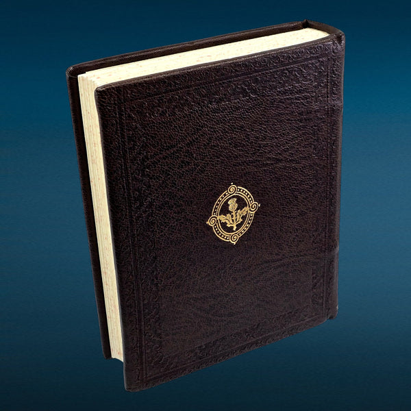 Ramble: Scottish Thistle